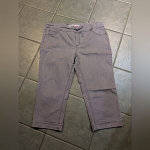 Santana Capris Size 16